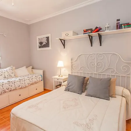 Apartment Centro Jerez Carbon *